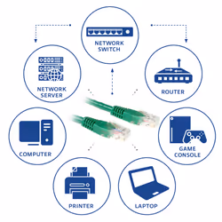 ACT Câble patch CAT6 Vert