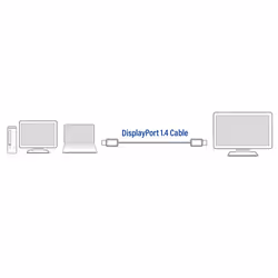ACT AC4071 câble DisplayPort 1 m Noir