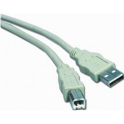 Gembird CC-USB2-AMBM-6 câble USB 1,82 m USB A USB B