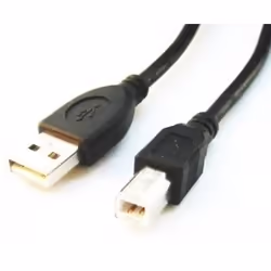 Gembird CCP-USB2-AMBM-6 câble USB 1,82 m USB A USB B Noir