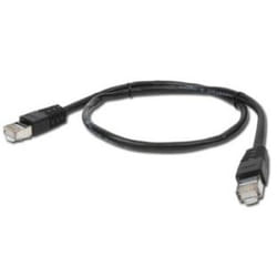 Gembird Patch Cord Cat.6 UTP 0.5m câble de réseau Noir 0,5 m Cat6 U/UTP (UTP)