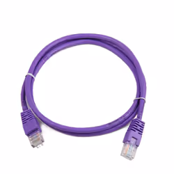 Gembird RJ45/RJ45 Cat5e 0.5m câble de réseau Violet 0,5 m U/UTP (UTP)