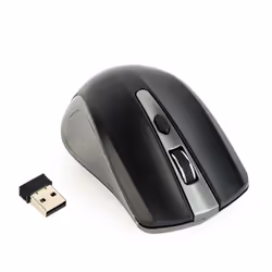 Gembird MUSW-4B-04-GB souris Ambidextre RF sans fil Optique 1600 DPI