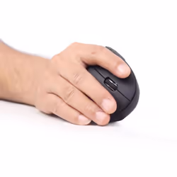 Gembird MUSW-ERGO-01 souris Droitier RF sans fil Optique 1600 DPI