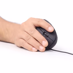 Gembird MUS-ERGO-01 souris Droitier USB Type-A Optique 3200 DPI
