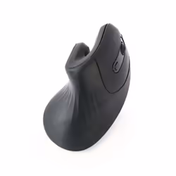 Gembird MUSW-ERGO-03, Droitier, Optique, RF sans fil, 1600 DPI, Noir