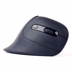 Gembird MUSW-ERGO-03 souris Maison Droitier RF sans fil Optique 1600 DPI