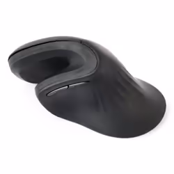 Gembird MUSW-ERGO-03 souris Maison Droitier RF sans fil Optique 1600 DPI