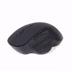 Gembird MUSW-6B-02 souris Droitier RF sans fil Optique 1600 DPI