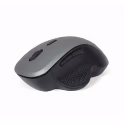 Gembird MUSW-6B-02-BG souris Droitier RF sans fil Optique 1600 DPI