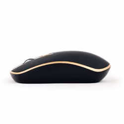 Gembird MUSW-4B-06-BG souris Ambidextre RF sans fil Optique 1600 DPI