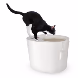 Iris Ohyama Bac à litière avec couvercle rainuré pour chat - Cat Litter Box Jump-In - PUNT-530 Blanc