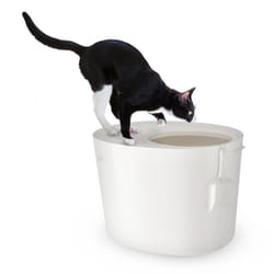 Iris Ohyama Bac à litière avec couvercle rainuré pour chat - Cat Litter Box Jump-In - PUNT-530 Blanc