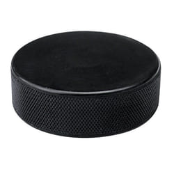 Nijdam 8716404258566 palet de hockey
