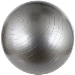 Avento Ballon de fitness/d'exercice Diamètre 75 cm Argenté