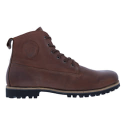Blackstone OM60 Mâle Adulte Marron