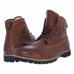 Blackstone OM60 Mâle Adulte Marron