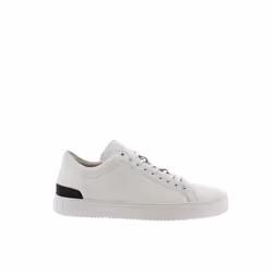 Baskets basses Blackstone
