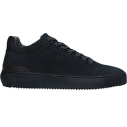 Baskets Blackstone Gem Alister