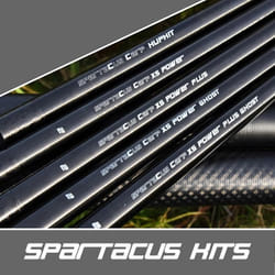 Kit de canne Cresta Carp XS Power Top 2 Ghost