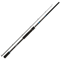 Canne spinning Shimano Bassterra Sea Bass