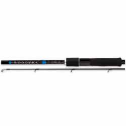 Canne spinning Shimano Bassterra Sea Bass