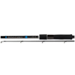 Canne spinning Shimano Bassterra Sea Bass