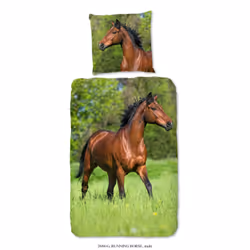 Muller Textiles 2684.99.08, Couverture incluse, Taie d'oreiller incluse