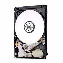 Western Digital Travelstar 7K1000 1TB, 2.5", 1 To, 7200 tr/min