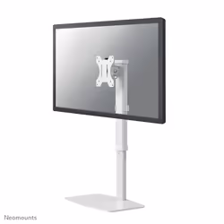 Neomounts support moniteur de bureau, Autonome, 6 kg, 25,4 cm (10"), 76,2 cm (30"), 100 x 100 mm, Blanc