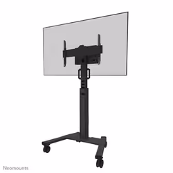 Neomounts support de sol, 70 kg, 94 cm (37"), 190,5 cm (75"), 100 x 100 mm, 600 x 400 mm, 1145 - 1535 mm