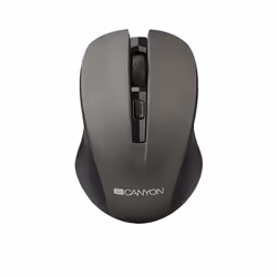 Canyon CNE-CMSW1G, Ambidextre, Optique, RF sans fil, 1200 DPI, Vert