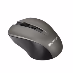 Canyon CNE-CMSW1G souris Bureau Ambidextre RF sans fil Optique 1200 DPI