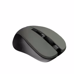 Canyon CNE-CMSW1G souris Bureau Ambidextre RF sans fil Optique 1200 DPI
