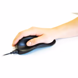 BakkerElkhuizen HandShoeMouse Righthanded Small Wireless