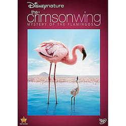 Disney CRIMSON WING DVD