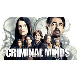Disney Criminal Minds Season 7 DVD Anglais