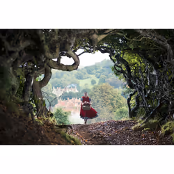 Disney Into the Woods DVD Allemand