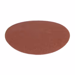 Ferm Disques abrasifs P100 10 pcs 150mm pour BGM1003