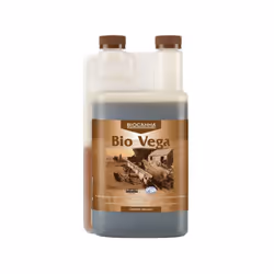 BioVega: Engrais de croissance - Il favorise des plantes vivaces aux racines très dynamiques, prêtes à offrir une belle fruct ...