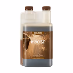 Le BioCanna Boost 250 ml se montre être un extrait de plantes, fermenté qui a pour conséquences : une stimulation positive su ...