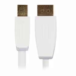 Bandridge 1m Mini DisplayPort - DisplayPort m/m Blanc