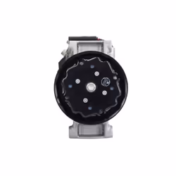 Compresseur de climatisation DENSO DCP05061