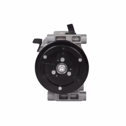 Compresseur de climatisation DENSO DCP09061