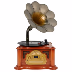 Ricatech RMC360, Semi-automatique, Or, Acier inoxydable, Bois, AM, FM, 2,5 mm, 10 W, 486 mm