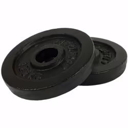 Tunturi 14TUSCL094, Standard, Disque de poids en fonte, 1,25 kg, Noir, 1,25 kg, Rond