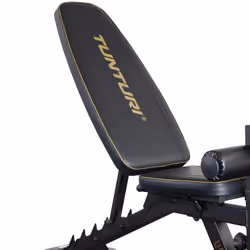 Tunturi UB100 Banc de musculation ajustable Dossier réglable Siège ajustable Maison Noir
