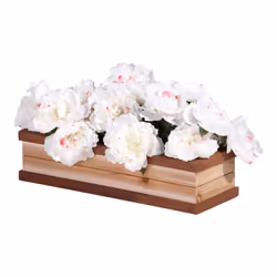 AXI Bac à fleurs
