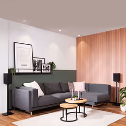 Marmitek Speaker Anywhere 650 - Connexion d'enceintes sans fil