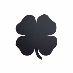 Securit FB-FOURLEAF, 300 x 500 mm, Mélamine, Résine, Velcro, Noir